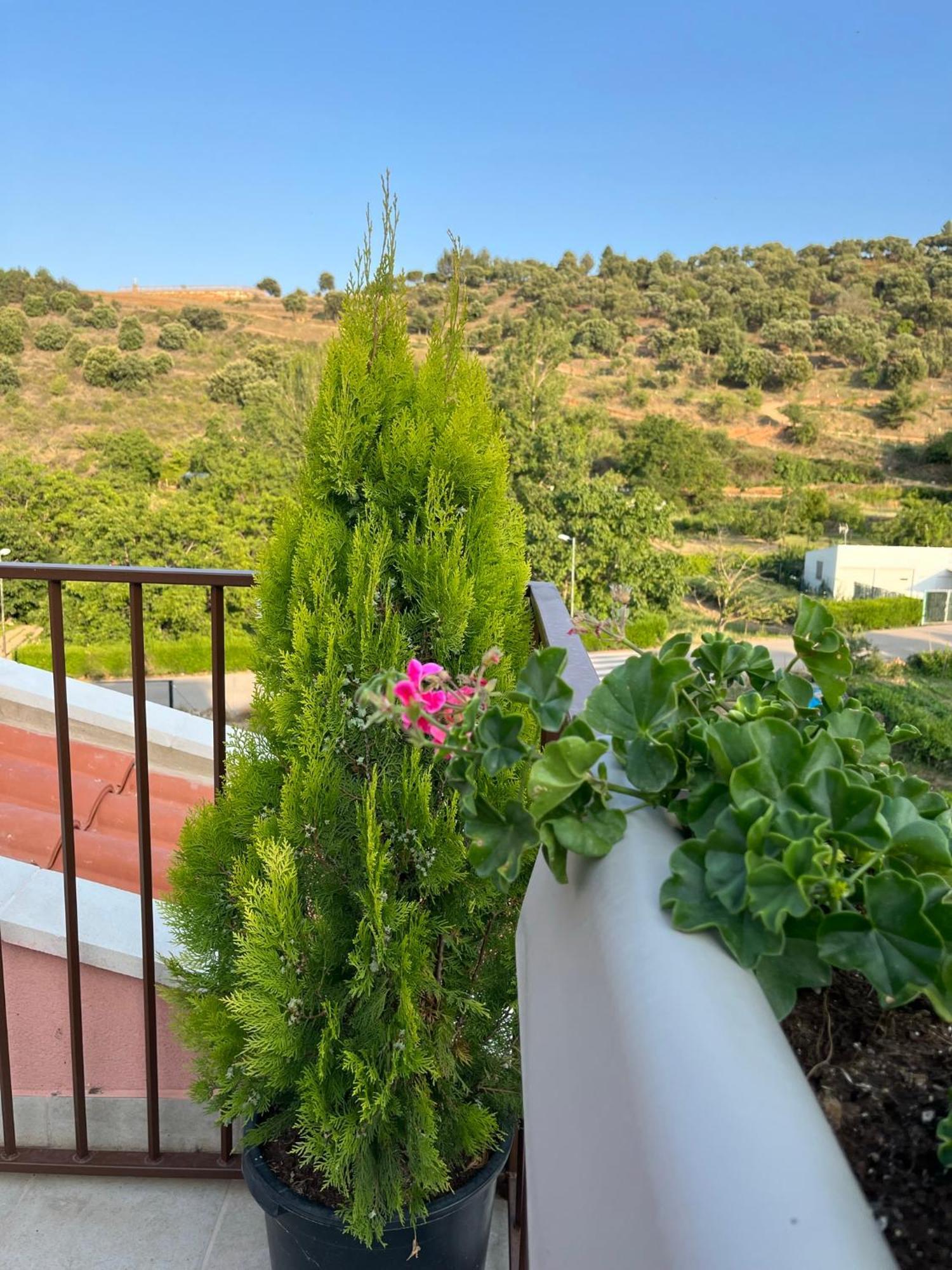 Apartamentos La Flor San Martín de Moncayo Kültér fotó